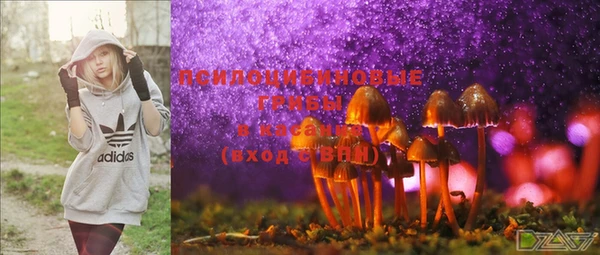 марки lsd Нея